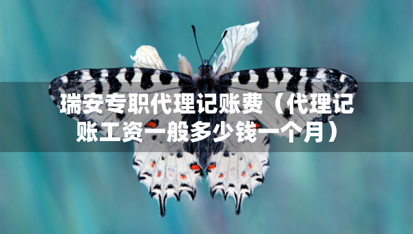 瑞安專職代理記賬費(fèi)（代理記賬工資一般多少錢一個(gè)月）