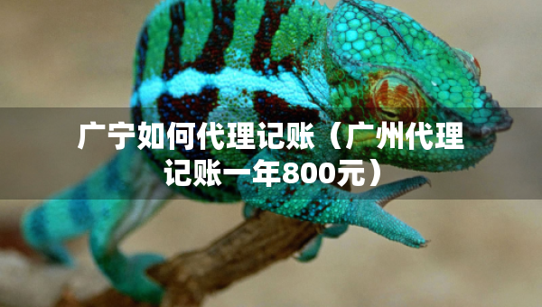 廣寧如何代理記賬（廣州代理記賬一年800元）