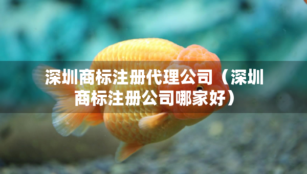 深圳商標(biāo)注冊(cè)代理公司（深圳商標(biāo)注冊(cè)公司哪家好）