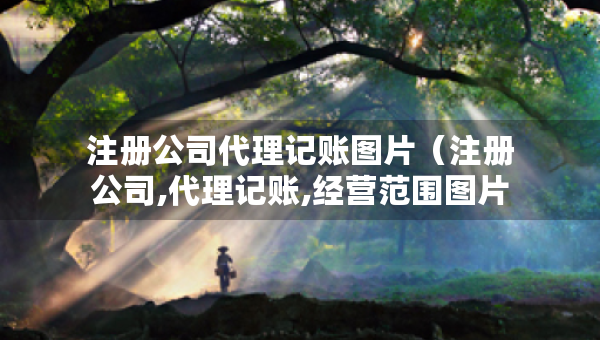 注冊公司代理記賬圖片（注冊公司,代理記賬,經(jīng)營范圍圖片）