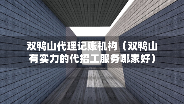 雙鴨山代理記賬機(jī)構(gòu)（雙鴨山有實(shí)力的代招工服務(wù)哪家好）