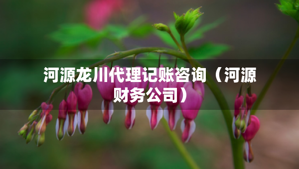 河源龍川代理記賬咨詢（河源財務(wù)公司）