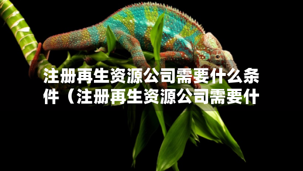 注冊(cè)再生資源公司需要什么條件（注冊(cè)再生資源公司需要什么材料）