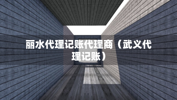 麗水代理記賬代理商（武義代理記賬）