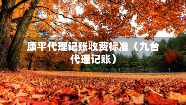 康平代理記賬收費(fèi)標(biāo)準(zhǔn)（九臺代理記賬）