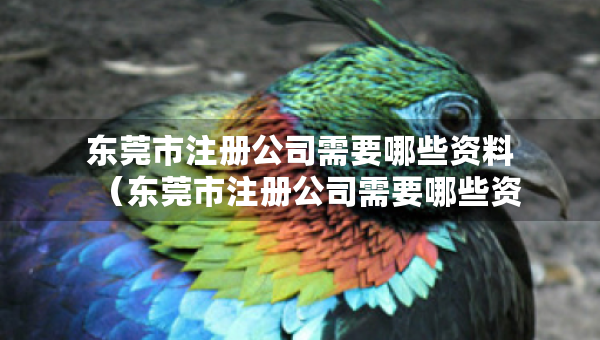 東莞市注冊公司需要哪些資料（東莞市注冊公司需要哪些資料和材料）