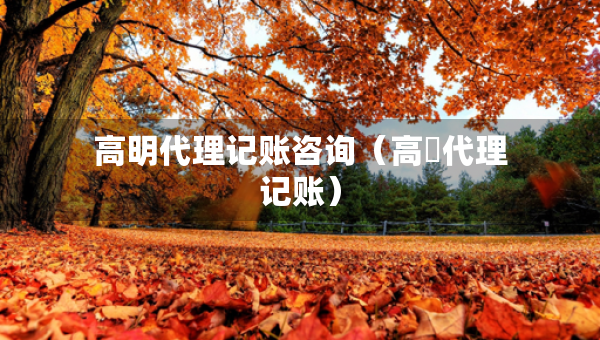 高明代理記賬咨詢（高埗代理記賬）