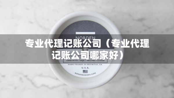 專業(yè)代理記賬公司（專業(yè)代理記賬公司哪家好）