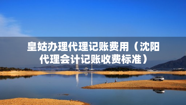 皇姑辦理代理記賬費(fèi)用（沈陽(yáng)代理會(huì)計(jì)記賬收費(fèi)標(biāo)準(zhǔn)）