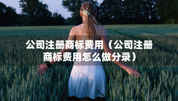 公司注冊(cè)商標(biāo)費(fèi)用（公司注冊(cè)商標(biāo)費(fèi)用怎么做分錄）
