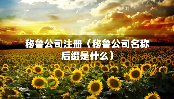 秘魯公司注冊（秘魯公司名稱后綴是什么）