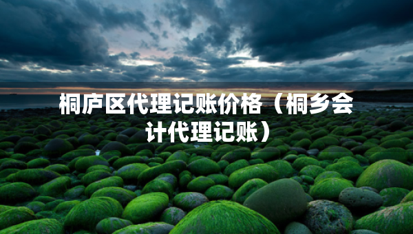 桐廬區(qū)代理記賬價(jià)格（桐鄉(xiāng)會(huì)計(jì)代理記賬）