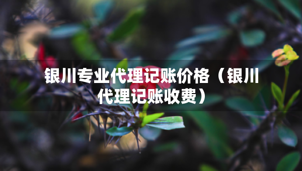 銀川專業(yè)代理記賬價(jià)格（銀川代理記賬收費(fèi)）