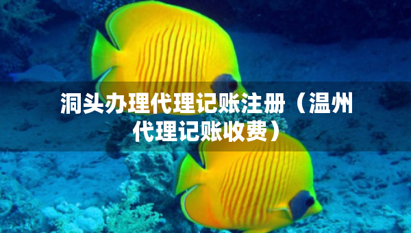 洞頭辦理代理記賬注冊(cè)（溫州代理記賬收費(fèi)）