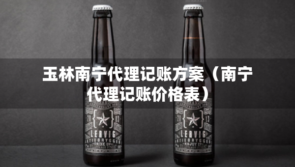 玉林南寧代理記賬方案（南寧代理記賬價(jià)格表）