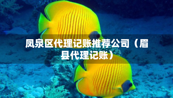鳳泉區(qū)代理記賬推薦公司（眉縣代理記賬）