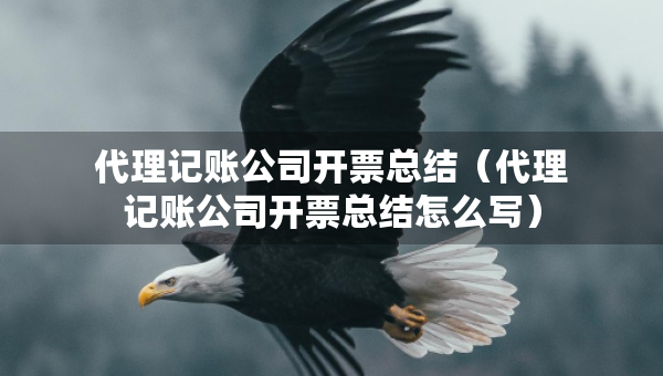 代理記賬公司開票總結(jié)（代理記賬公司開票總結(jié)怎么寫）