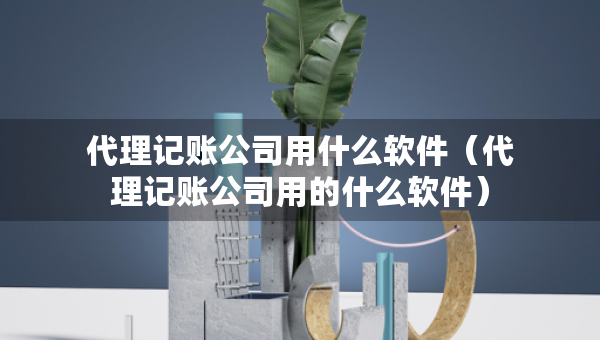 代理記賬公司用什么軟件（代理記賬公司用的什么軟件）