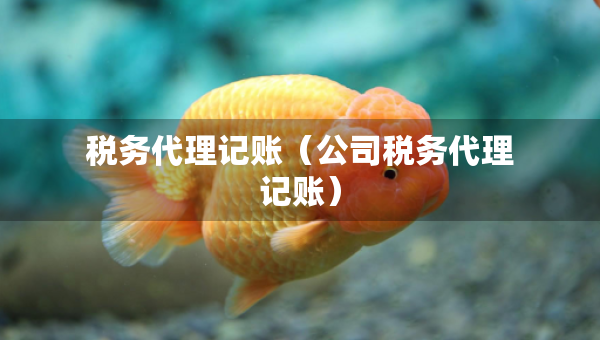 稅務代理記賬（公司稅務代理記賬）
