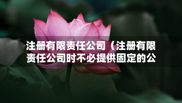 注冊有限責任公司（注冊有限責任公司時不必提供固定的公司住所）