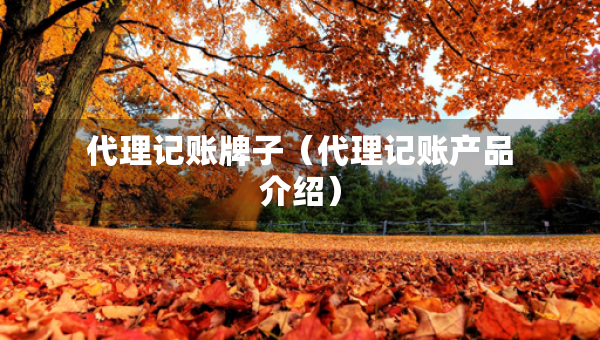 代理記賬牌子（代理記賬產(chǎn)品介紹）