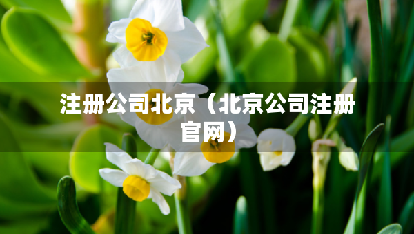 注冊(cè)公司北京（北京公司注冊(cè)官網(wǎng)）