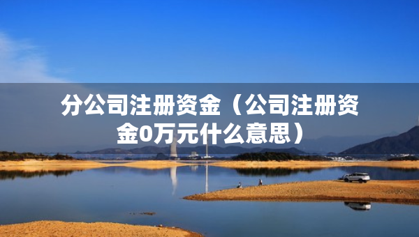 分公司注冊(cè)資金（公司注冊(cè)資金0萬元什么意思）