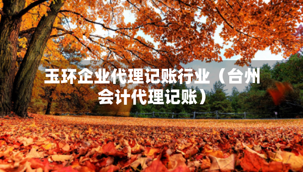 玉環(huán)企業(yè)代理記賬行業(yè)（臺(tái)州會(huì)計(jì)代理記賬）