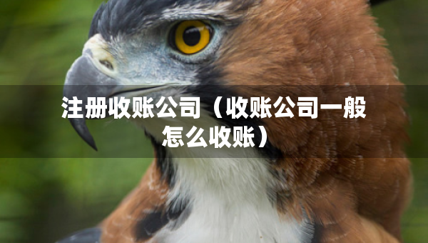 注冊收賬公司（收賬公司一般怎么收賬）