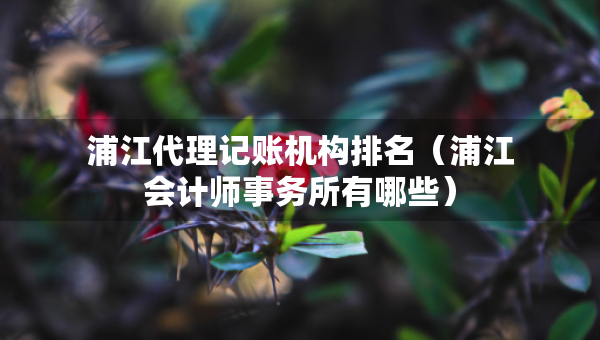 浦江代理記賬機構(gòu)排名（浦江會計師事務(wù)所有哪些）
