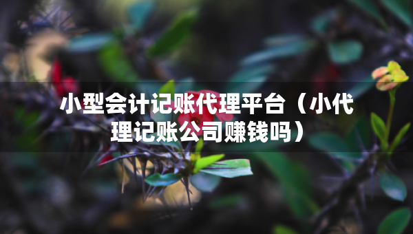 小型會計記賬代理平臺（小代理記賬公司賺錢嗎）