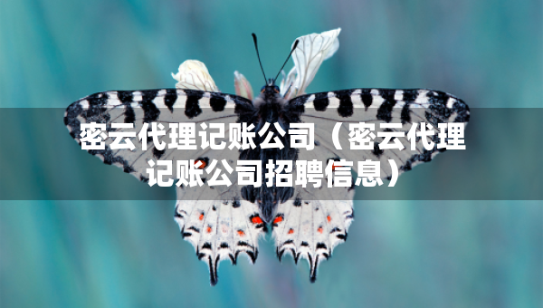 密云代理記賬公司（密云代理記賬公司招聘信息）