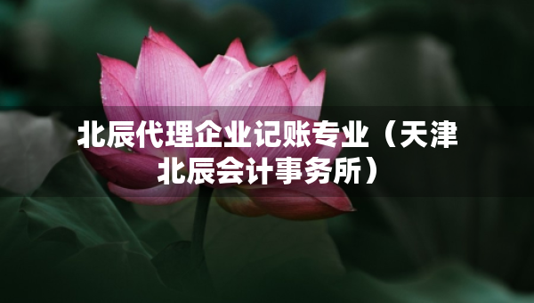 北辰代理企業(yè)記賬專業(yè)（天津北辰會計(jì)事務(wù)所）
