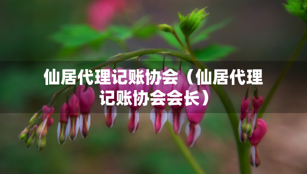 仙居代理記賬協(xié)會(huì)（仙居代理記賬協(xié)會(huì)會(huì)長(zhǎng)）