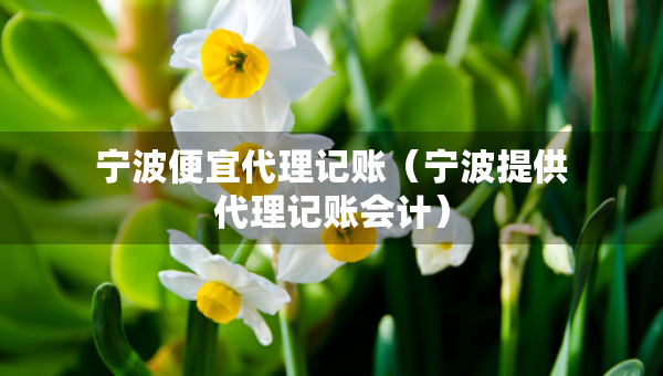 寧波便宜代理記賬（寧波提供代理記賬會計）