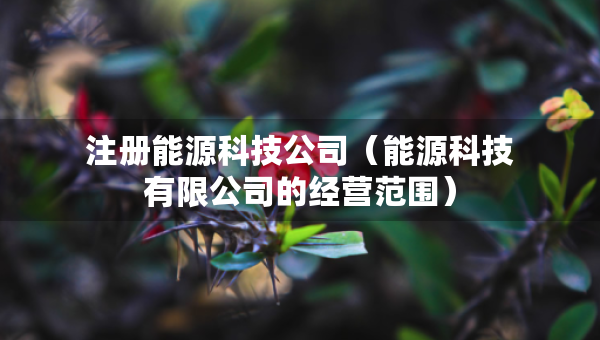注冊(cè)能源科技公司（能源科技有限公司的經(jīng)營(yíng)范圍）