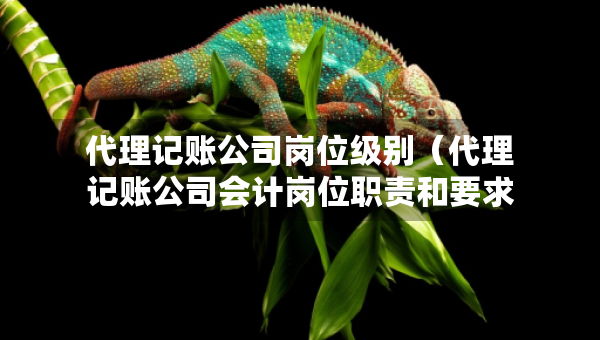 代理記賬公司崗位級別（代理記賬公司會計崗位職責和要求）