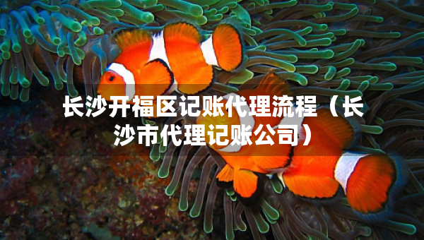 長(zhǎng)沙開(kāi)福區(qū)記賬代理流程（長(zhǎng)沙市代理記賬公司）