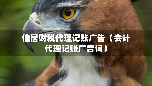 仙居財(cái)稅代理記賬廣告（會(huì)計(jì)代理記賬廣告詞）