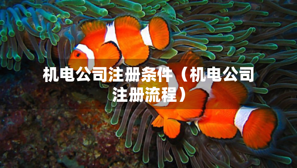 機(jī)電公司注冊(cè)條件（機(jī)電公司注冊(cè)流程）