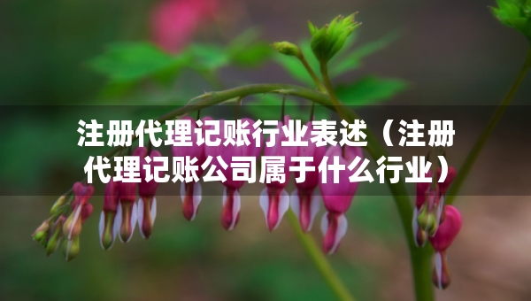 注冊(cè)代理記賬行業(yè)表述（注冊(cè)代理記賬公司屬于什么行業(yè)）