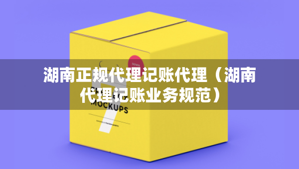 湖南正規(guī)代理記賬代理（湖南代理記賬業(yè)務(wù)規(guī)范）