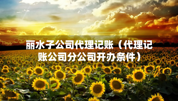 麗水子公司代理記賬（代理記賬公司分公司開辦條件）