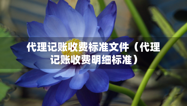 代理記賬收費(fèi)標(biāo)準(zhǔn)文件（代理記賬收費(fèi)明細(xì)標(biāo)準(zhǔn)）