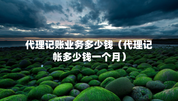 代理記賬業(yè)務(wù)多少錢（代理記帳多少錢一個月）