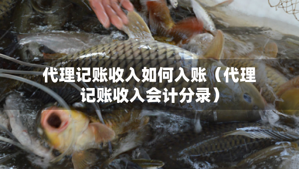 代理記賬收入如何入賬（代理記賬收入會計分錄）