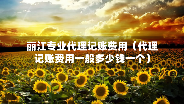 麗江專業(yè)代理記賬費(fèi)用（代理記賬費(fèi)用一般多少錢一個(gè)）