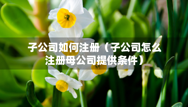 子公司如何注冊（子公司怎么注冊母公司提供條件）