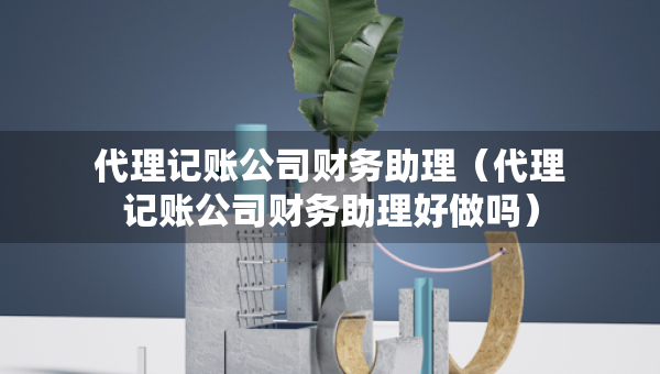 代理記賬公司財務(wù)助理（代理記賬公司財務(wù)助理好做嗎）