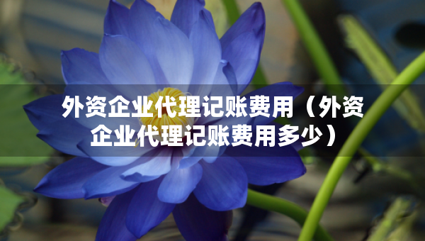 外資企業(yè)代理記賬費(fèi)用（外資企業(yè)代理記賬費(fèi)用多少）